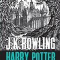 Cover Art for 9781408894637, Harry Potter and the Chamber of Secrets by J.K. Rowling