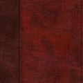 Cover Art for 9781433566820, ESV Large Print Thinline Bible (Trutone, Burgundy/Red, Timeless Design) by Crossway Books (COR)