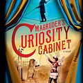 Cover Art for 9781492631491, Magruder's Curiosity Cabinet by H. P. Wood