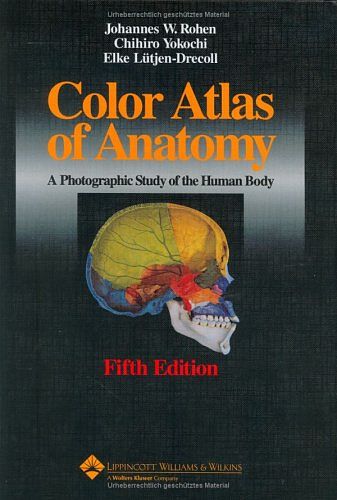 Cover Art for 9783794520909, Color Atlas of Anatomy by Johannes W. Rohen, Chihiro Yokochi, Elke Lütjen-Drecoll