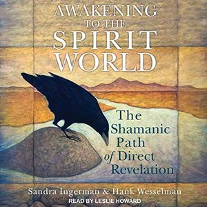 Cover Art for 9798200320530, Awakening to the Spirit World: The Shamanic Path of Direct Revelation by Hank Wesselman Sandra Ingerman