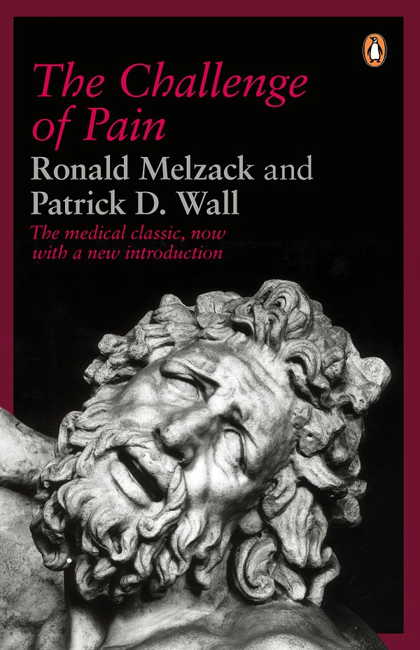 Cover Art for 9780140256703, The Challenge of Pain by Ronald Melzack, Patrick D. Wall