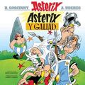 Cover Art for 9781906587260, Asterix Y Galiad by Goscinny