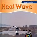 Cover Art for 9781588106575, Heat Wave by Catherine Chambers