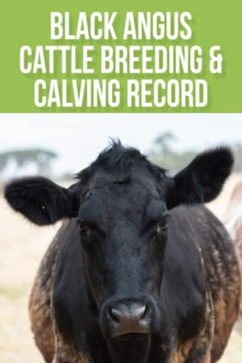 Cover Art for B0BD1V2G4H, Black Angus Cattle Breeding & Calving Record Book: with Space for Individual Cow Records Pages, Immunizations & Medical ... Sheets. Makes a Great Cattle Rancher Gift by AAMiRo Arts