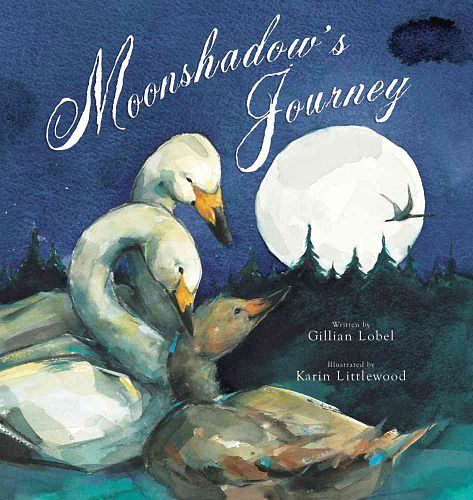 Cover Art for 9780807552735, Moonshadow's Journey by Gillian Lobel