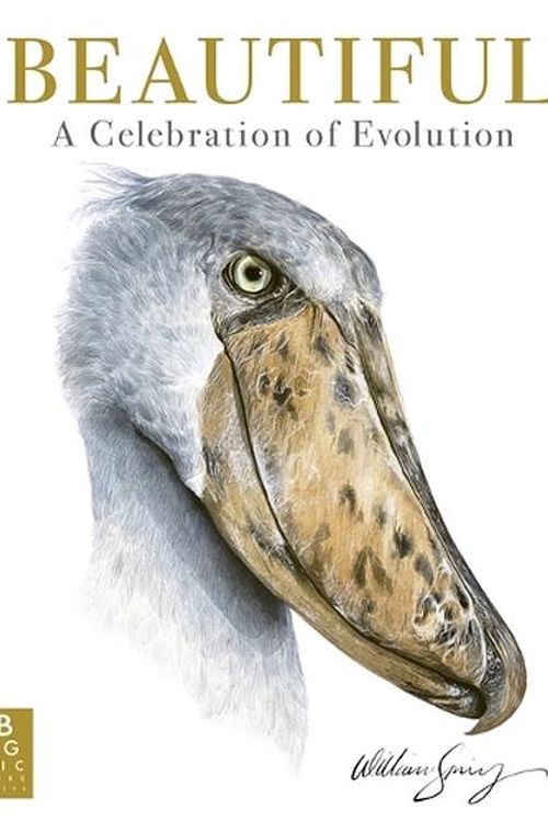 Cover Art for 9781800786165, Beautiful: A Celebration of Evolution by William Spring