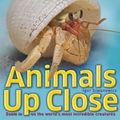 Cover Art for 9781435156203, Animals Up Close by Dorling Kindersley (DK)