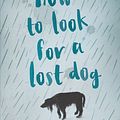 Cover Art for 9781474906470, How to Look for a Lost Dog by Ann M. Martin