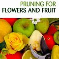 Cover Art for 9780643095762, Pruning for Flowers and Fruit by Jane Varkulevicius