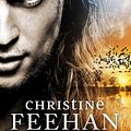 Cover Art for 9780349426754, Dark Song by Christine Feehan