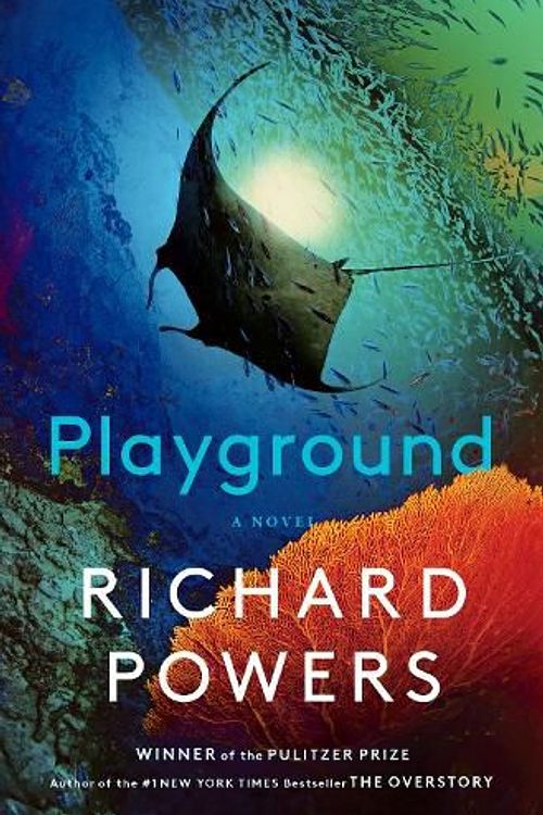 Cover Art for 9781324086031, Playground: A Novel by Richard Powers