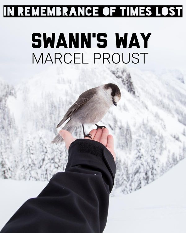 Cover Art for 1230001706888, Swann's Way by Marcel Proust