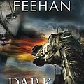 Cover Art for 9780425281963, Dark Carousel by Christine Feehan