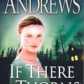 Cover Art for 9780007873753, If There be Thorns by V.c. Andrews