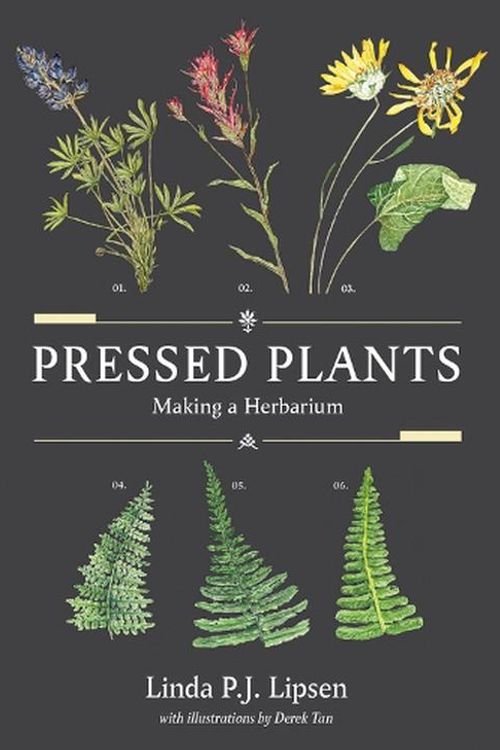 Cover Art for 9780772680563, Pressed Plants: Making a Herbarium by Lipsen MS, Linda P.J.