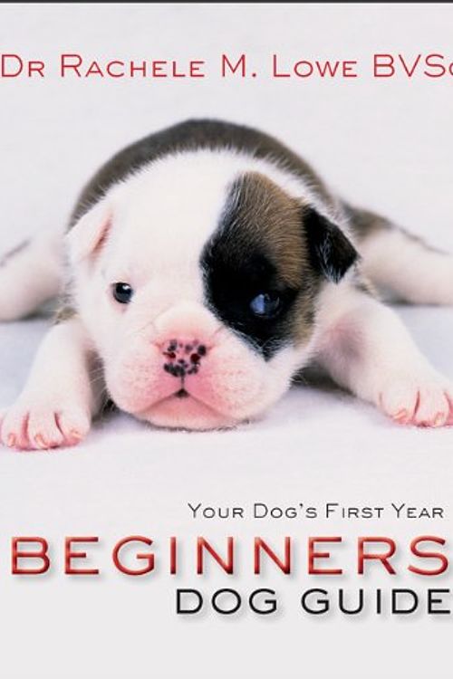 Cover Art for 9781741108125, Beginner's Dog Guide by Rachele Lowe