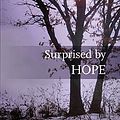 Cover Art for 8601300180786, Surprised by Hope: Original, Provocative And Practical by Tom Wright