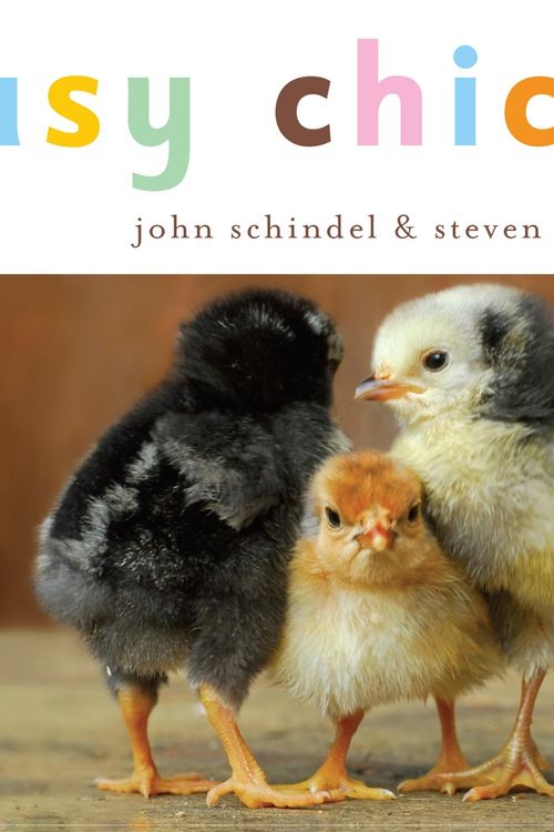 Cover Art for 9781582462752, Busy Chickens by John Schindel