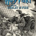 Cover Art for 9781338299175, Harry Potter and the Goblet of Fire by J. K. Rowling