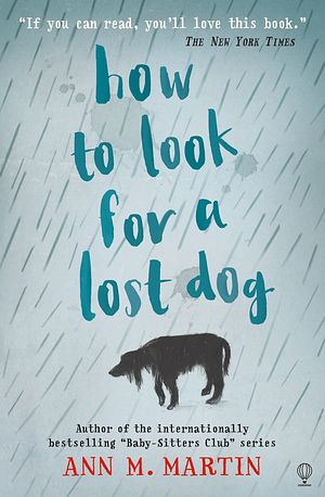 Cover Art for 9781474919166, How to Look for a Lost Dog by Ann M. Martin