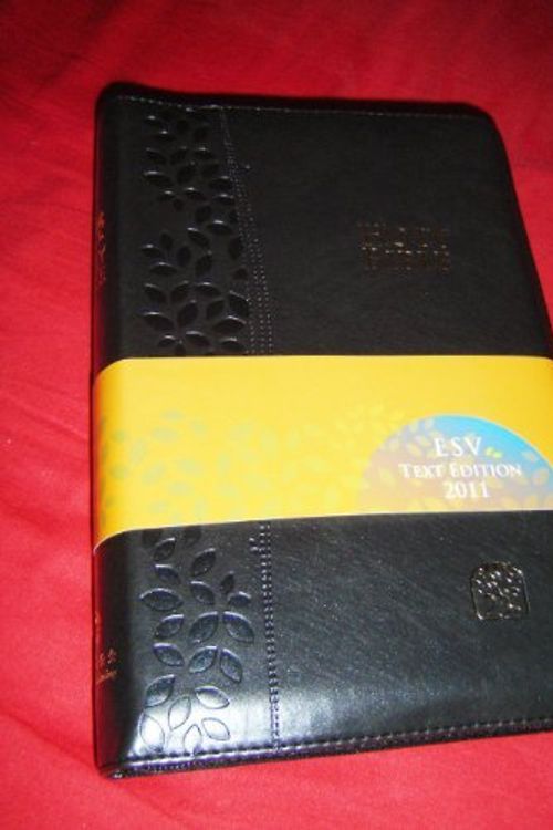 Cover Art for 9789888124596, BLACK Leather Bound MODERN CHINESE - ENGLISH Bilingual Holy Bible / CNV - ESV / Cross Zipper, Golden Edges / Chinese New Version - English Standard Version / Simplified / Shen Edition by Bible Society