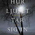 Cover Art for 9789178930838, Hur ljuset tar sig in by Louise Penny