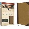 Cover Art for 9780310444442, NIV, Cultural Backgrounds Study Bible, Imitation Leather, Indexed: Bringing to Life the Ancient World of Scripture by Zondervan