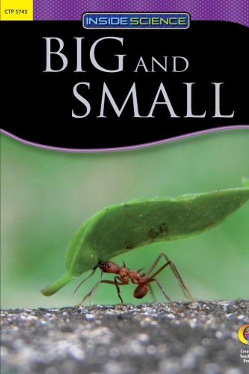 Cover Art for 9781591987161, Big and Small by Julia Wall