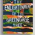 Cover Art for 9781525294099, The Enlightenment of the Greengage Tree: A Novel by Shokoofeh Azar