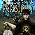 Cover Art for 9780613906067, The Dark Is Rising by Susan Cooper