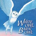 Cover Art for 9780763633646, White Owl, Barn Owl by Nicola Davies