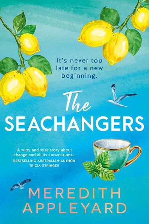 Cover Art for 9781867271208, The Seachangers by Meredith Appleyard