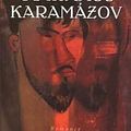 Cover Art for 9788500008016, Os irmãos Karamázov by F. Dostoiévski