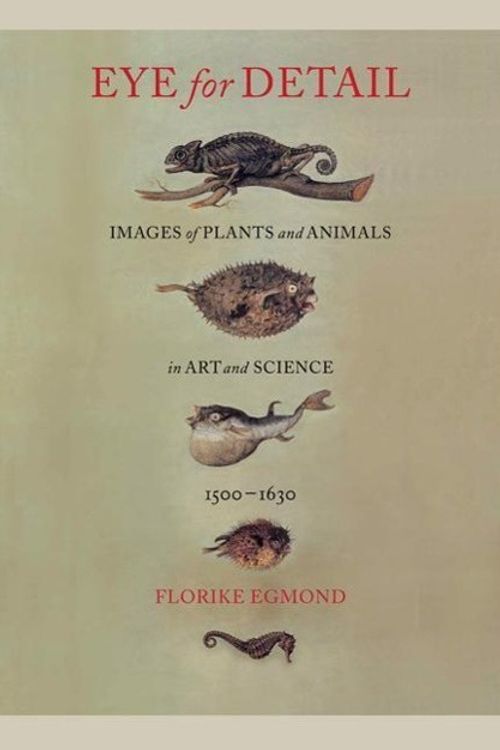 Cover Art for 9781780236407, Eye for Detail: Images of Plants and Animals in Art and Science, 1500-1630 by Florike Egmond