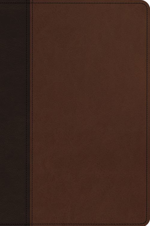 Cover Art for 9781433579691, ESV Church History Study Bible: Voices from the Past, Wisdom for the Present (TruTone, Brown/Walnut, Timeless Design) by Esv Bibles by Crossway