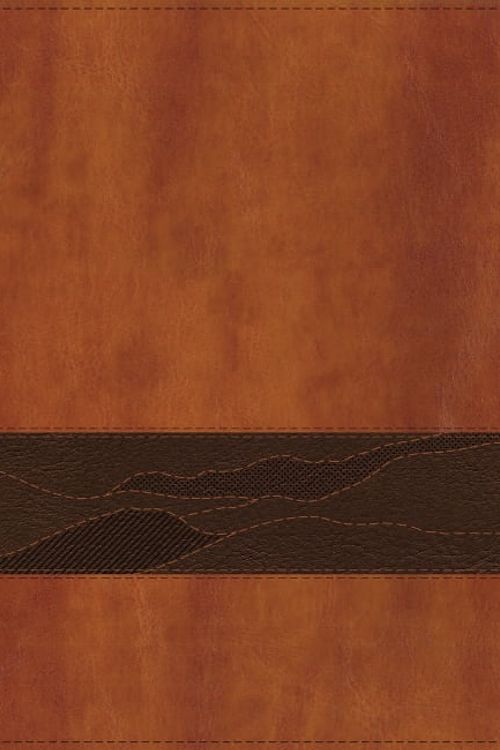 Cover Art for 9780310462576, Rooted: The NIV Bible for Men, Leathersoft, Brown, Thumb Indexed, Comfort Print: Rooted: the Niv Bible for Men, Brown, Thumb Indexed, Comfort Print by Livingstone Corporation