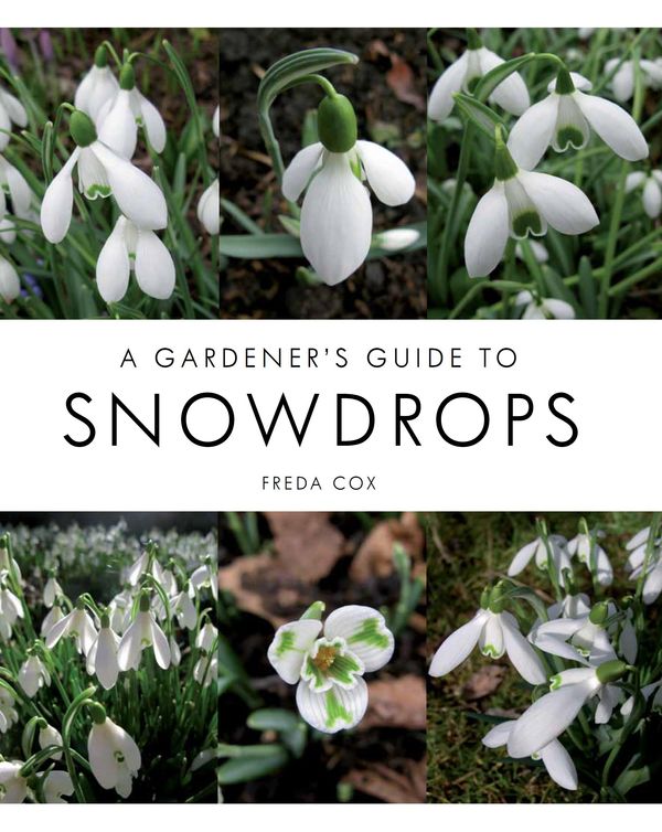 Cover Art for 9781847975621, Gardener's Guide to Snowdrops by Freda Cox