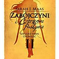 Cover Art for 9788377479872, Zabójczyni i Czerwona Pustynia by Maas Sarah J