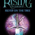 Cover Art for 9781409048282, Silver On The Tree by Susan Cooper