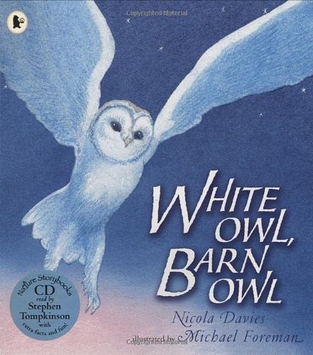 Cover Art for 9781406313116, White Owl, Barn Owl by Nicola Davies