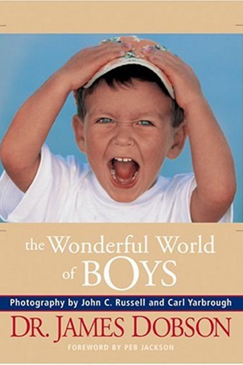 Cover Art for 9780842381079, The Wonderful World of Boys by James C. Dobson