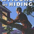 Cover Art for 9781557092748, A Figure in Hiding by Franklin W. Dixon