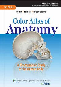 Cover Art for 9781609137854, Color Atlas of Anatomy by Johannes W. Rohen, Elke Lutjen-Drecoll, Chichiro Yokochi