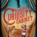 Cover Art for 9781492631484, Magruder's Curiosity Cabinet by H. P. Wood