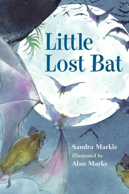 Cover Art for 9781570916571, Little Lost Bat by Sandra Markle