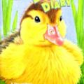 Cover Art for 9780613249461, Duckling Diary by Ben M Baglio