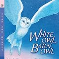 Cover Art for 9780763639969, White Owl, Barn Owl by Nicola Davies