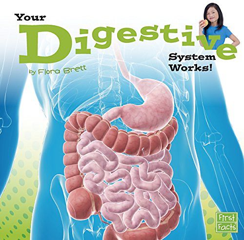 Cover Art for 9781491420645, Your Digestive System Works! by Flora Brett