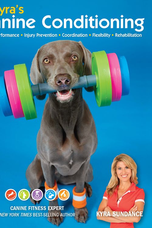 Cover Art for 9781631596711, Kyra's Canine ConditioningGames and Exercises for a Healthier, Happier Dog by Kyra Sundance